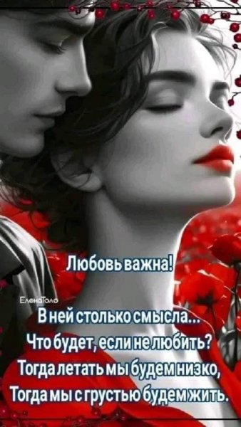 FB IMG 1712262165419