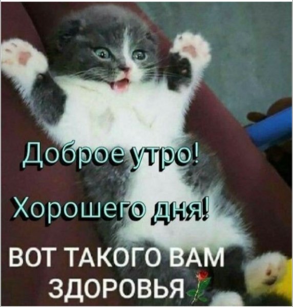 доброе утро 101424