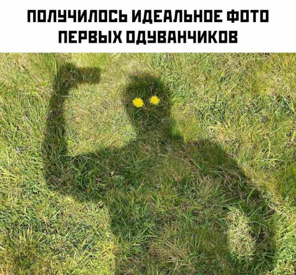 IMG 20200426 070550 859