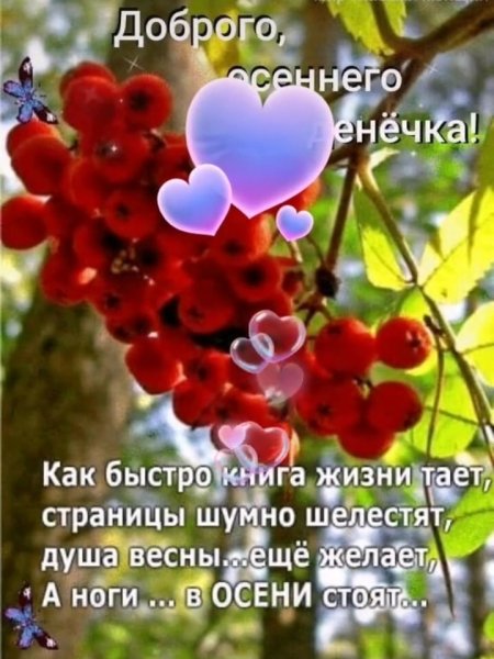 IMG-20201024-WA0000