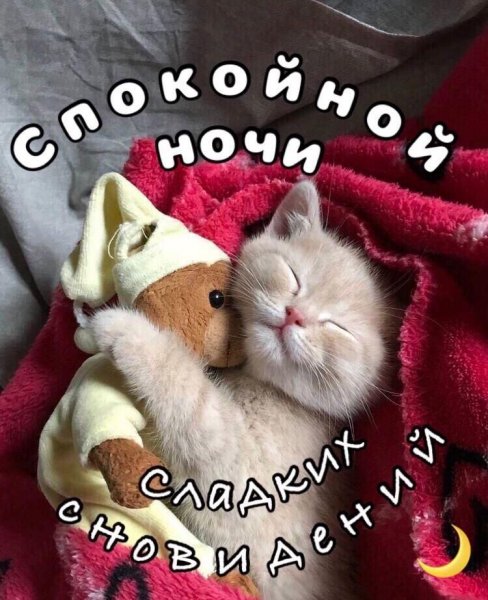 29b7c1e9febfa72cf37cf3a6e2c05b5d