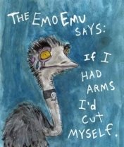 emo 33