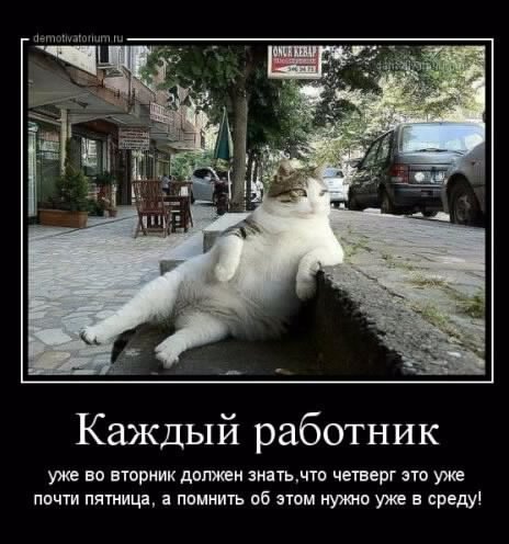 picture_237273349