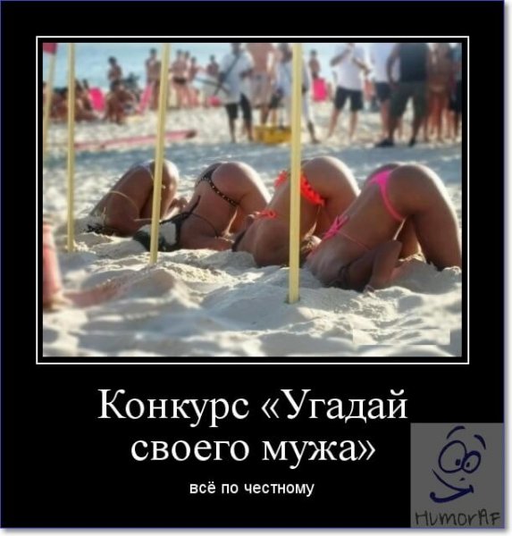 d0498b89abd6f39541fc026136972676
