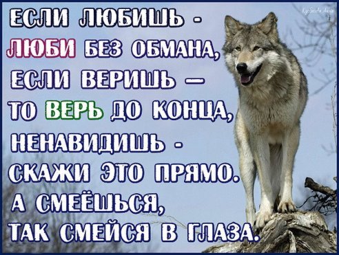 image-24