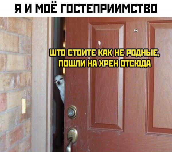 6SNf1bDPmaM