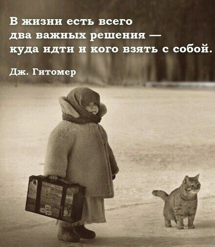 IMG 20211225 025926