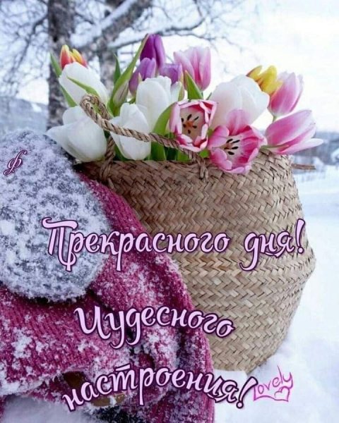 FB IMG 1608739077888