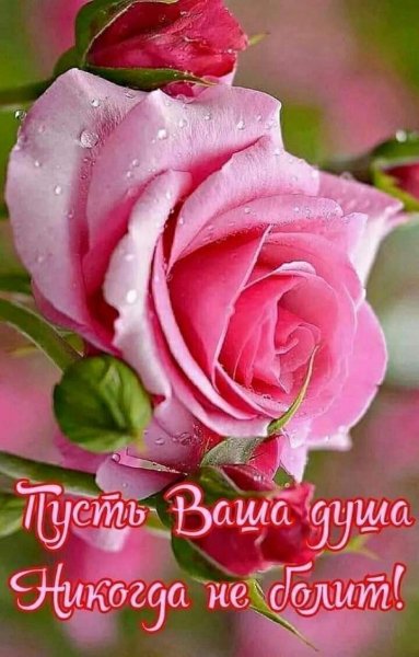 FB IMG 1613116722560