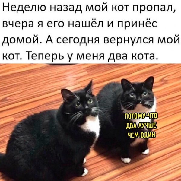 IMG 20260714 174226 929