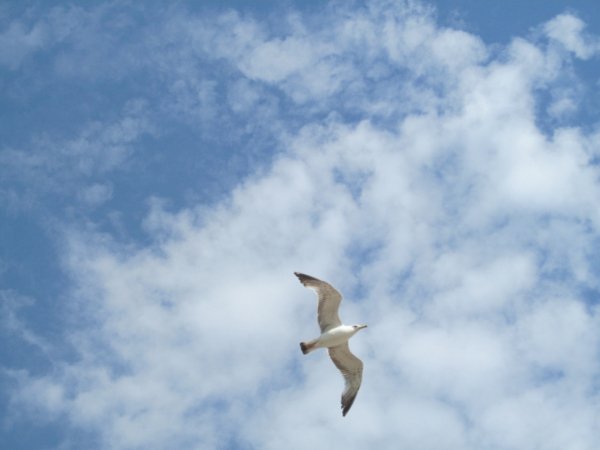IMG 7831