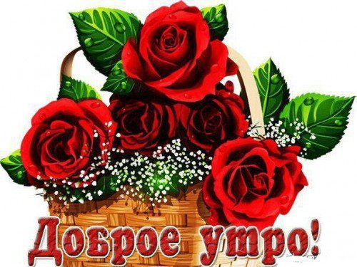 доброе утро