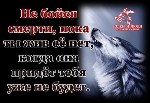picture_203201921