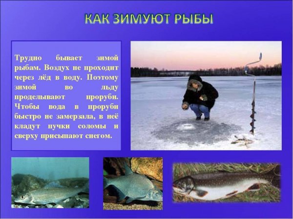 )))