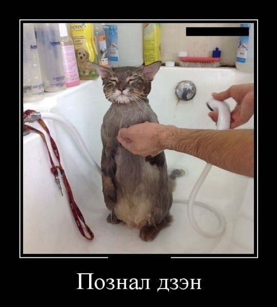 Дзэн