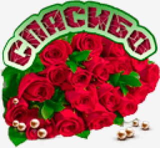 SPASIBO что ты есть