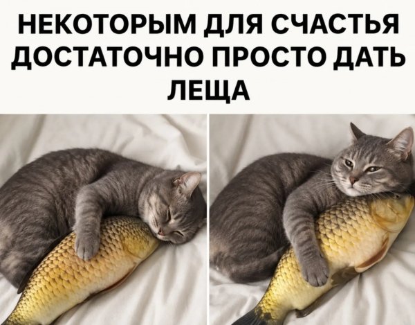 Immbuy 4690b734065b48838709c4e8fc5a453d