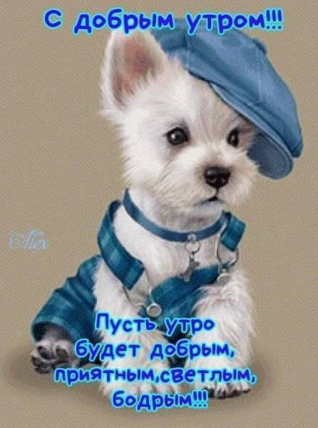 FB IMG 1607321208289