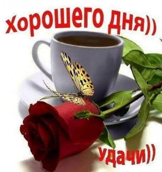 IMG-7885769de4ba515ff0e1cbd60962d1f8-V