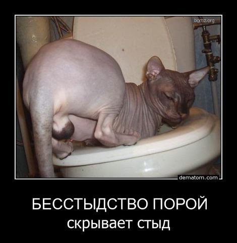 pics