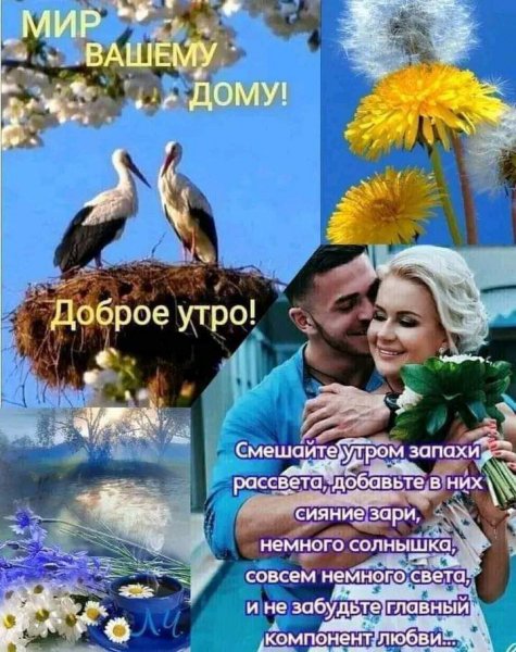 FB IMG 1710881467576