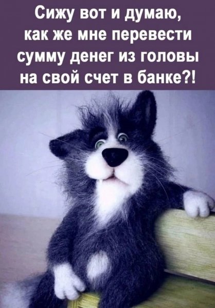 D77fd73f14795b5f4a5feed375f51d11