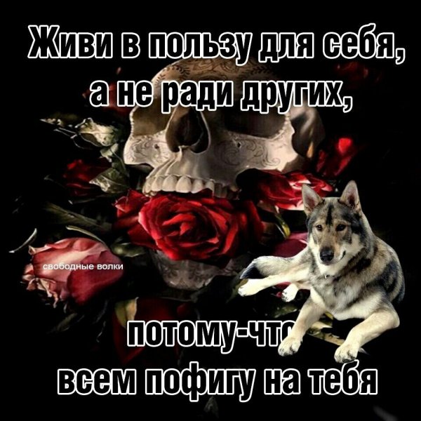 IMG 20211113 014043