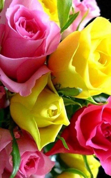FB IMG 1609905768022