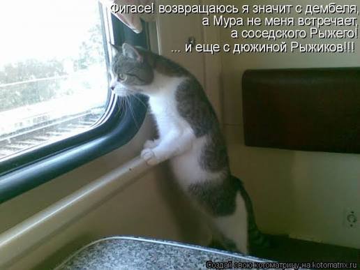 picture_403673739