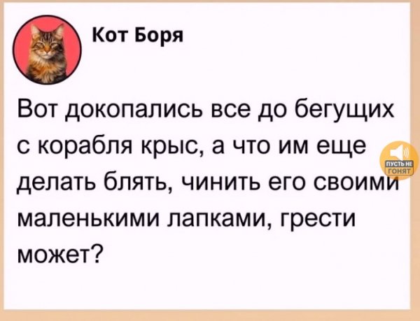 SOqf40PSGJY