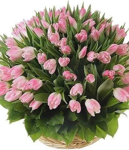 FB IMG 1612797121305