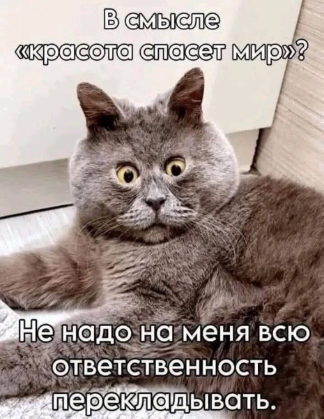 FB IMG 1768134283891