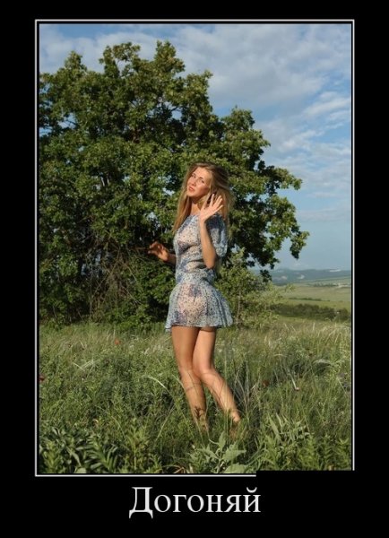 Догоняй