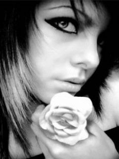 background-pu i wp pl