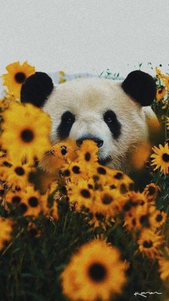 Eb7e8962e3c44ba29eae925167b4ee3f