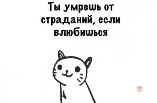 image(304)