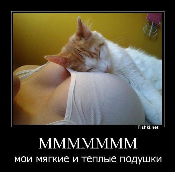picture_248789597