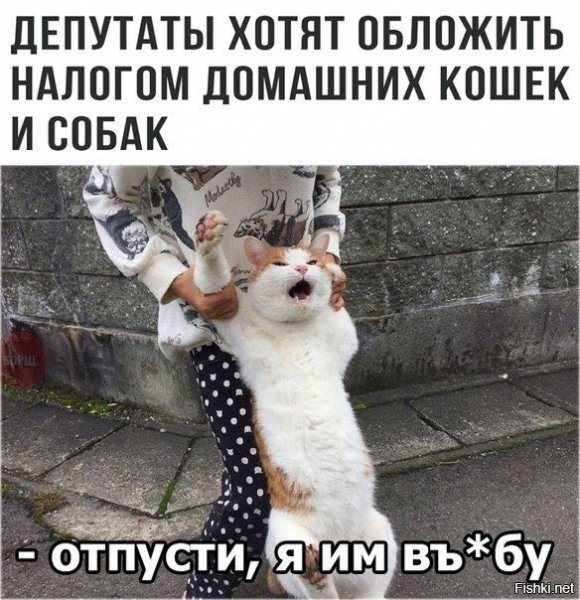 ))