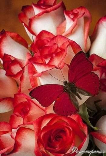 FB IMG 1611177021145
