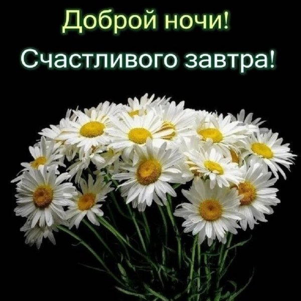 Друзья мои!