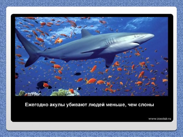Небольшой факт