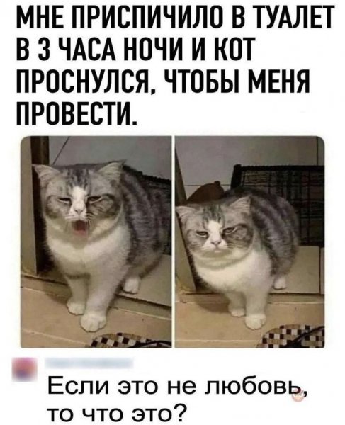 IMG 20230529 212702 512