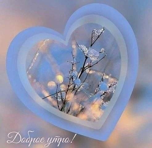 FB IMG 1608291583458