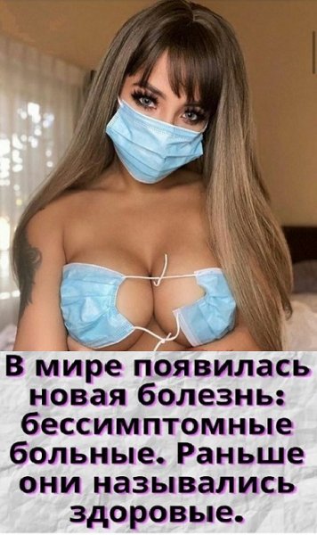 picture_282719524