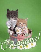 wap sasisa ru p 79305 79602-