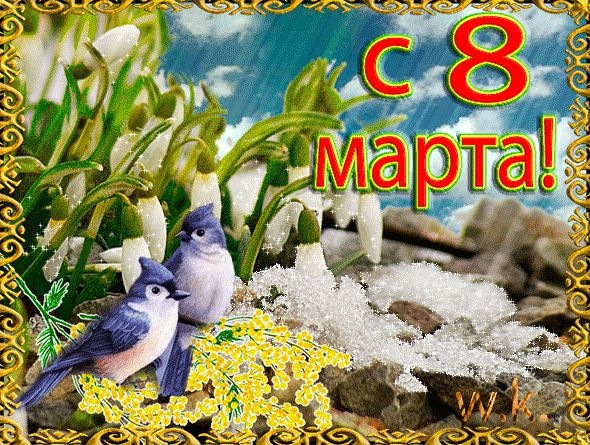 getImage5535