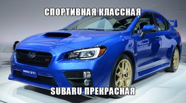 picture_95586851