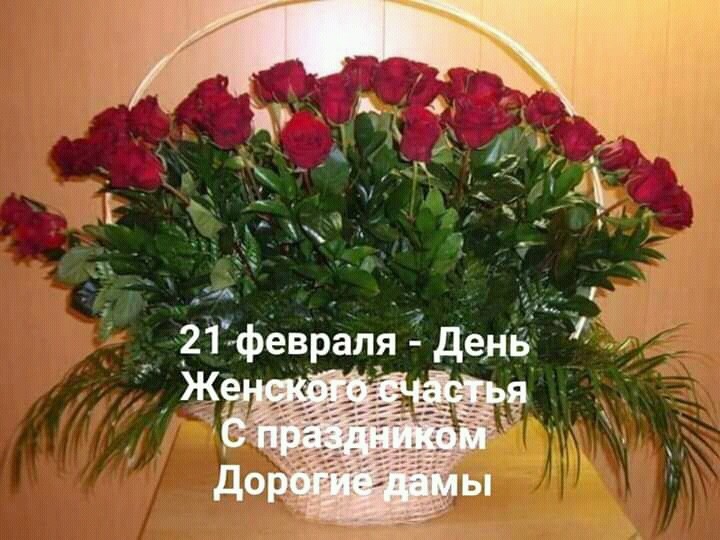 IMG-20210221-WA0004
