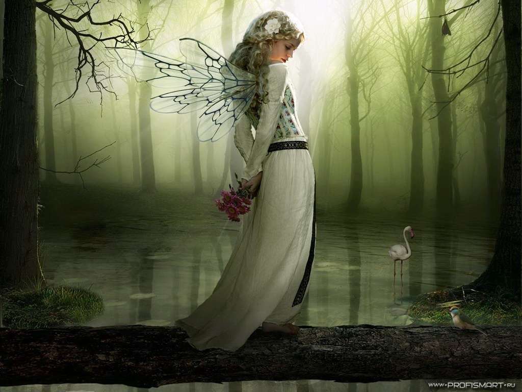 Fantasy 56