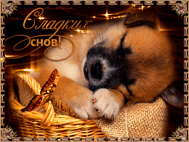 Сладких снов!